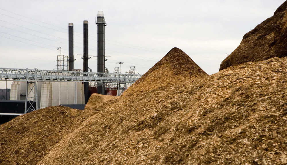 Sustainable biomass wood chips for power generation